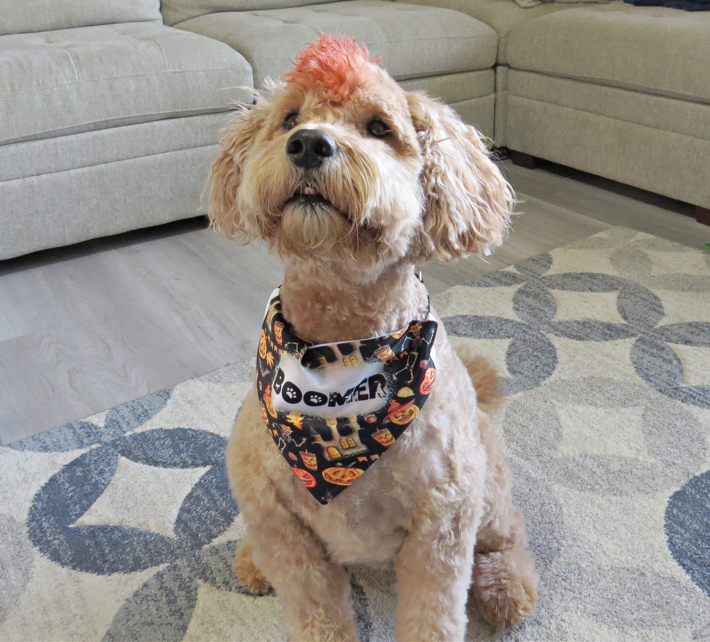 Double Sided Halloween Christmas Holiday Dog Bandana - Dog Scarf With Collar - Santa Pumpkin - Washable - Adjustable