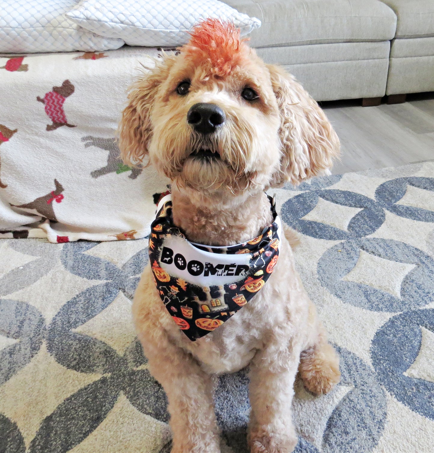 Double Sided Halloween Christmas Holiday Dog Bandana - Dog Scarf With Collar - Santa Pumpkin - Washable - Adjustable